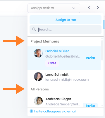 Assign tasks to project members