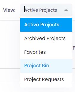 Views in the project list