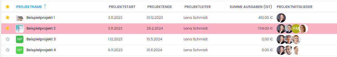 Angewandte Regel der bedingten Formatierung auf die Projektliste