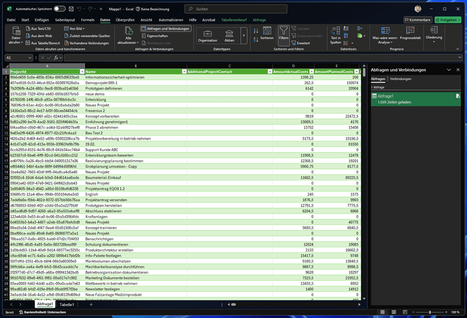 InLoox Daten in Excel