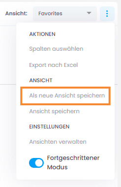 Ansicht als neue Ansicht speichern